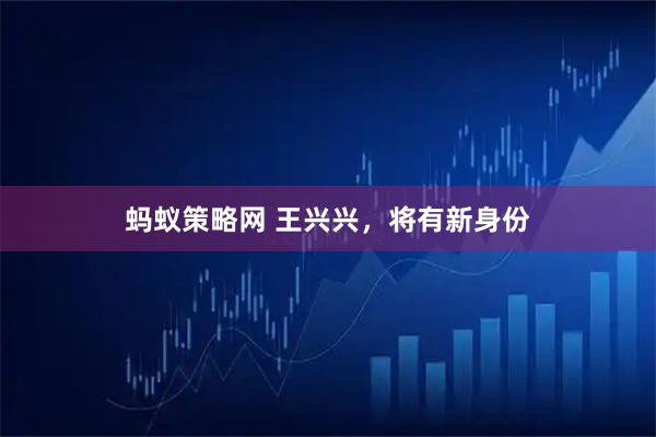 蚂蚁策略网 王兴兴，将有新身份
