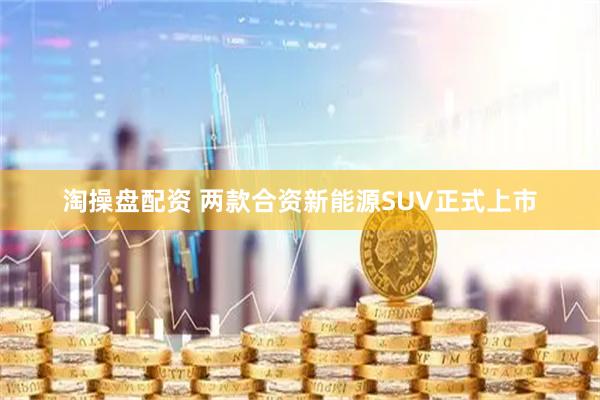 淘操盘配资 两款合资新能源SUV正式上市